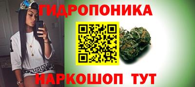 бошки Жуковский