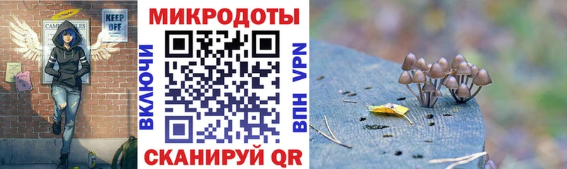 Псилоцибиновые грибы Psilocybine cubensis  где продают   Москва 