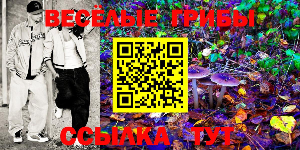 Псилоцибиновые грибы ЛСД Москва